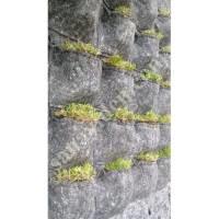 DİKEY BAHÇE SİSTEMLERİ - POLYESTER KEÇE İLE YEŞİL DUVAR,